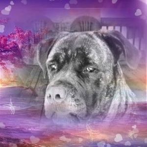 Meet your Posher, Sally